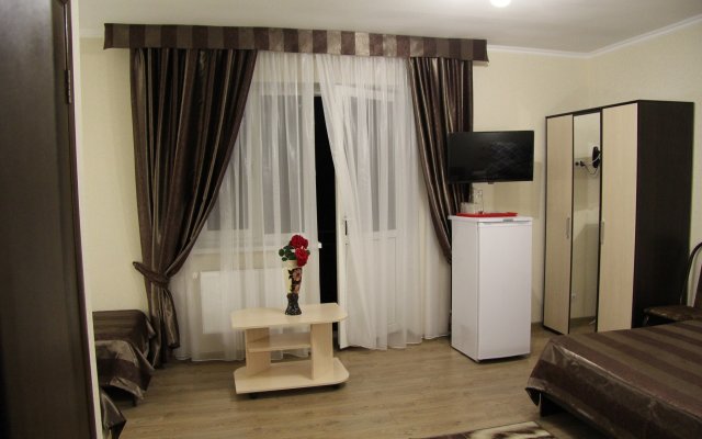 Lyudmila Na Turgeneva Guest House