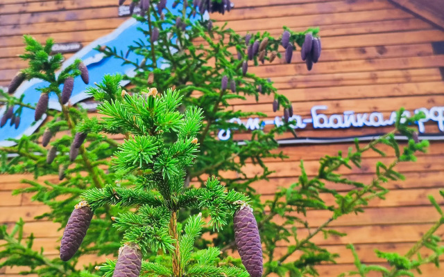 Гостевой дом Таёжный