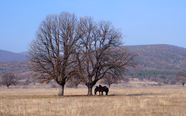 Апартаменты-A