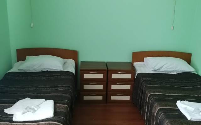 Luzhskij Sotsialno-Delovoj Tsentr Gostinitsa "Luga"