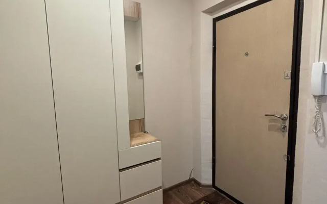 V Sovremennom Rayone Goroda Apartments