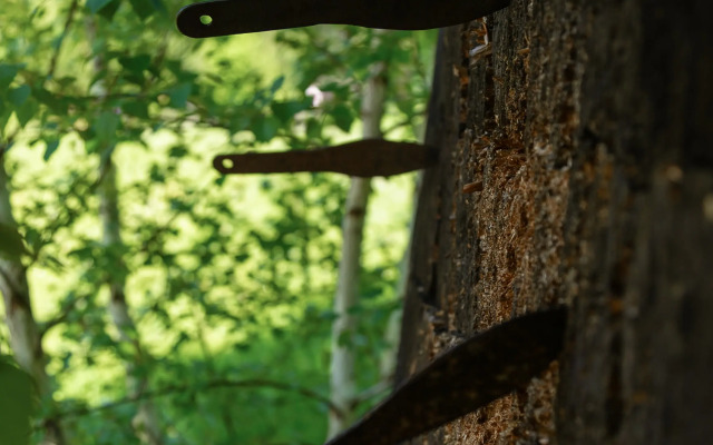 Мини-Отель Спортинг отель Айтау