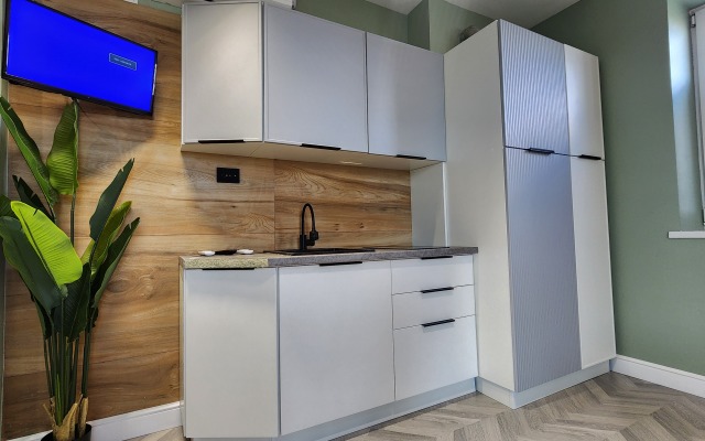Primorskaya Flat