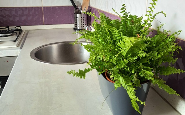 Апартаменты on Rokossovskogo 11