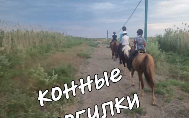 Baza Otdykha Dargon