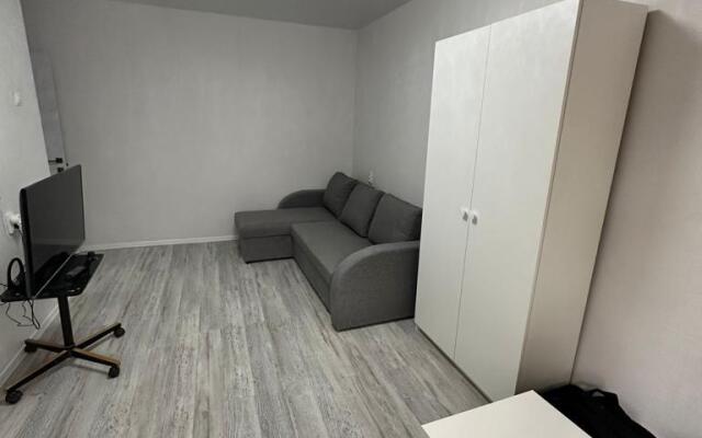 Uyutnye apartamenty v tsentre goroda Flat