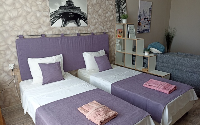 Апартаменты Zvezdnaya