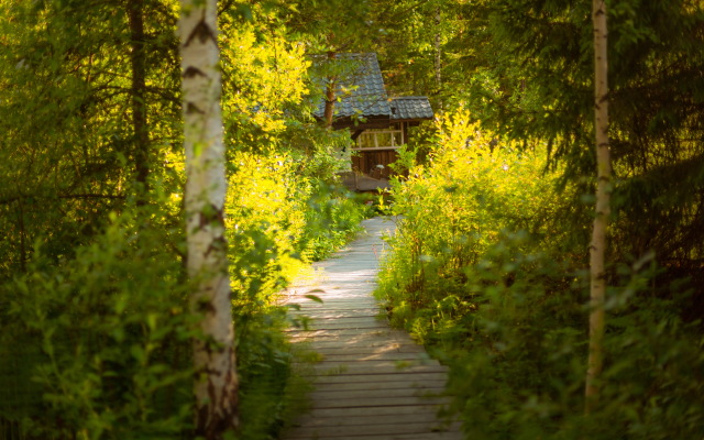 Глэмпинг Деревня Хоббитов