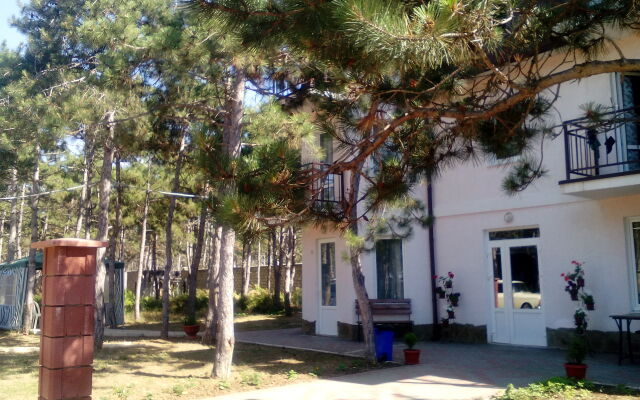 Гостиница гостевой дом " Алексия" в Песчаном 2 отзыва об отеле, цены и фото номеров - забронировать гостиницу гостевой дом " Алексия" онлайн Песчаное вид на фасад