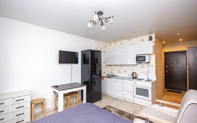 Апартаменты Уютная студия на Виктора уса