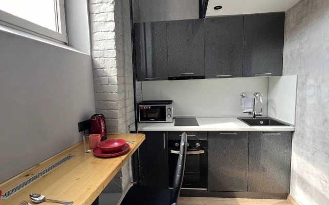 Apartamenty Uyutnaya studiya Grey Cat u Naberezhnoj reki Yauzy