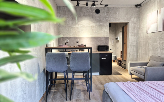 Studiya Loft Zhk Letniy Apartments