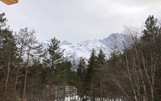 Elbrus Guest House