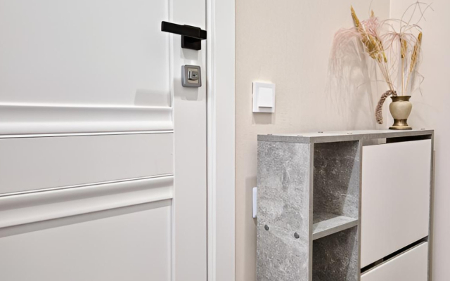 Studiya 55 V Letnem Apartments