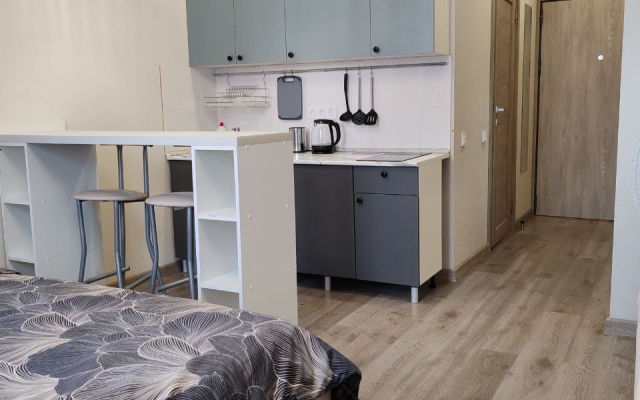 RentalSPb In2it Flat