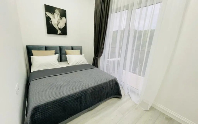 Dvukhkomnatnyye Standart s Balkonom i Vidom na Gorod Apartments