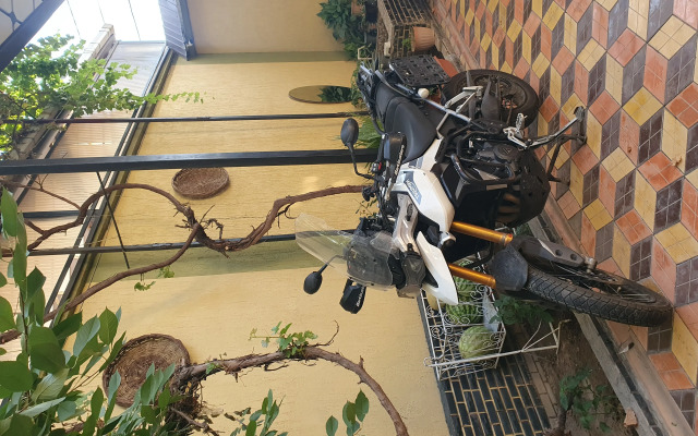 Homely Guest House
