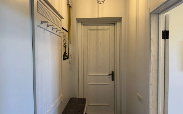 Двухкомнатные апартаменты на Большой Троицкой 28