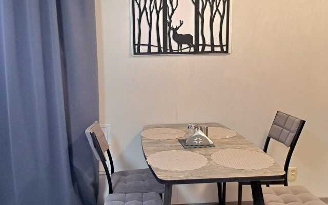 Апартаменты Квартира в центре Петрозаводска