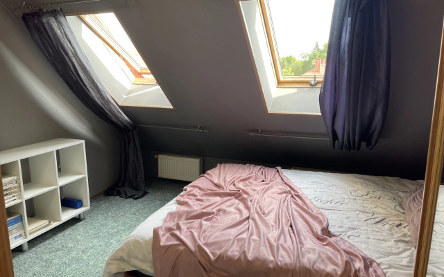 Uyutnaya Mansarda V Tsentre Flat