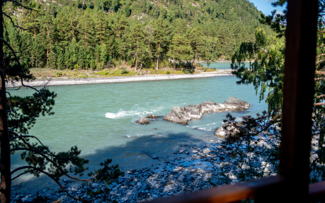 Гостевой дом АЛТАЙ БЕРЕГ ИП Рожнова Л.В.