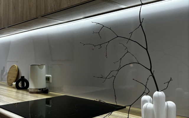 Квартира Плеханова 14, Центр города, вид на город