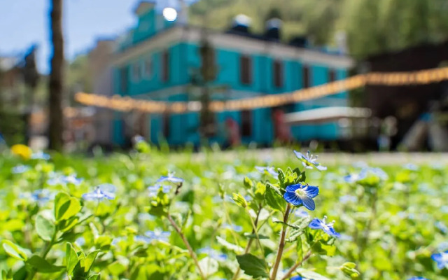 Бутик-Отель Русские Сезоны Бутик-отель Невский, Роза Хутор