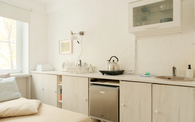 Full House U Almazova-3 Apartment