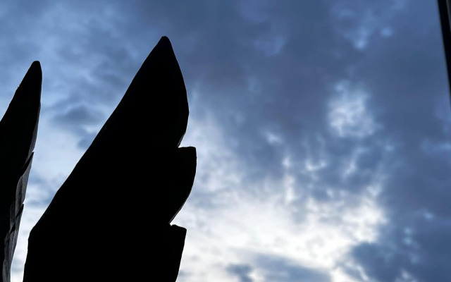 Квартира с Красивым Видом на Город