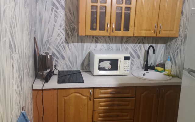 Studiya S Balkonom Flat