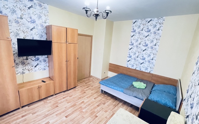 Tsentralnaya 17 Apartments