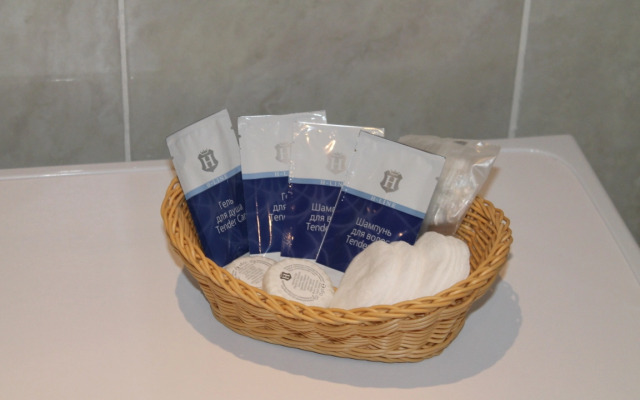 Апартаменты Столичный 13