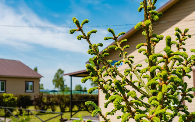 Частный дом на берегу озера Плещеево 57А