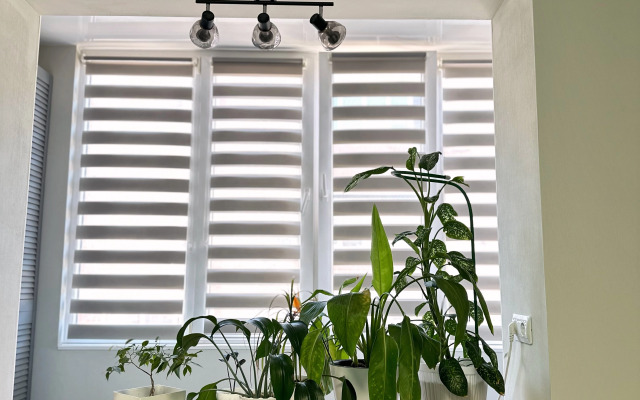 Квартира Уютная 1-к квартира в хорошем районе