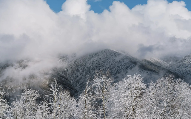 AYS Let It Snow Hotel Roza Khutor