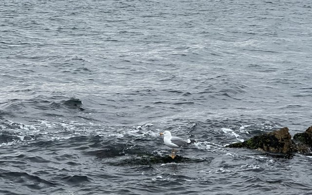 Гостевой Дом