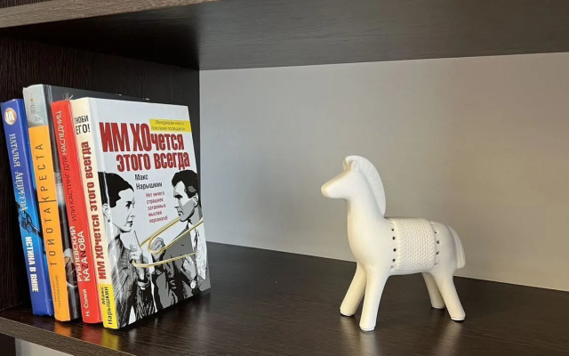 Квартира на Богомягкова 2к3