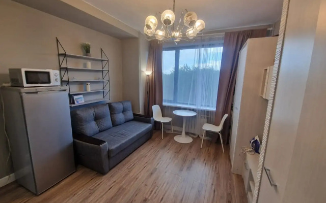 Udobnaya Studiya V Tsentre Apartments