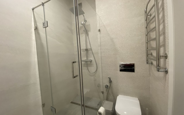 Апартаменты 238 Мира 44лит4