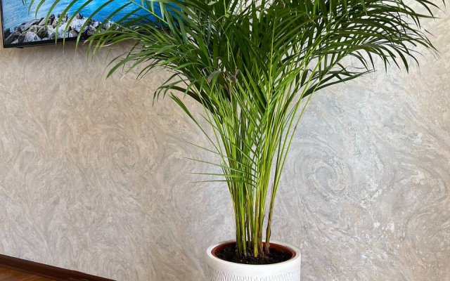 Апартаменты Времена года 15, 3 этаж