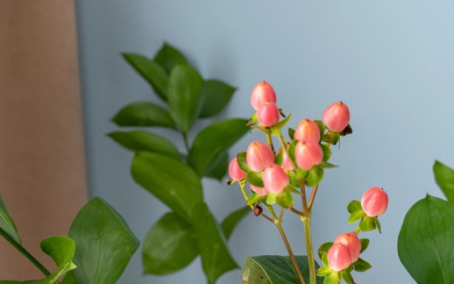 Апартаменты Lubervill 852/3