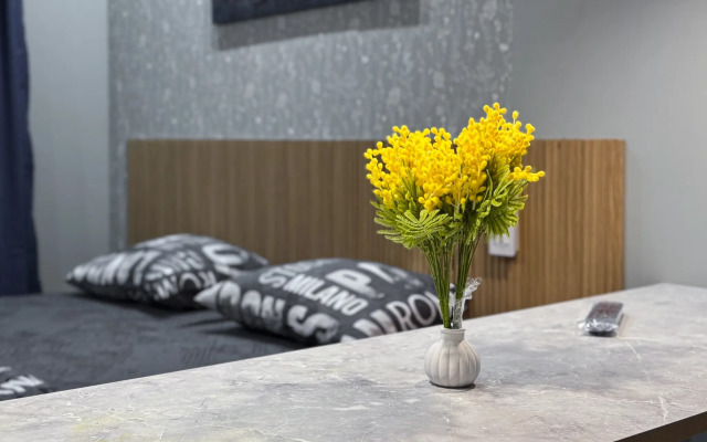 Апартаменты Брусника студия №2