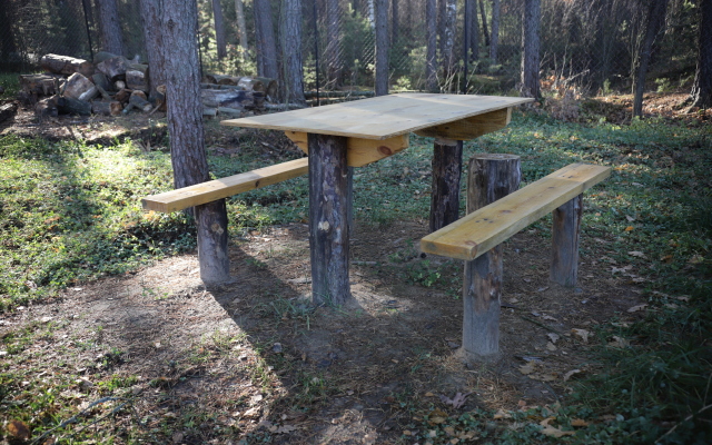 Гостевой дом Дом у леса