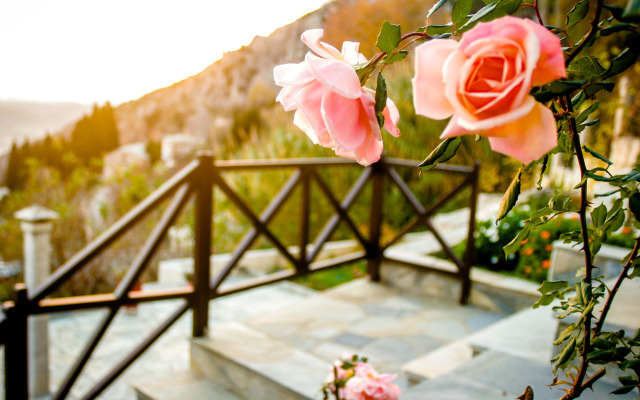 Вилла Mansion Zeus Makrinitsa