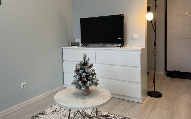 Апартаменты Уютная квартира в Светлогорске