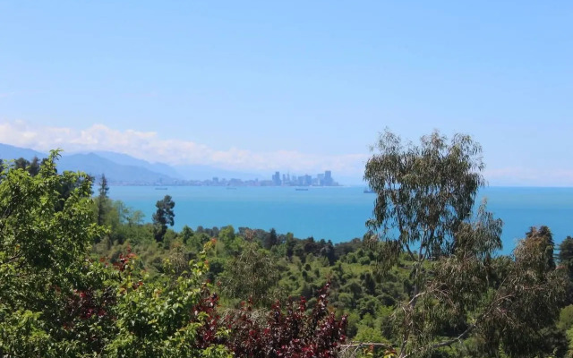 Wooden House Tsikhisdziri Private House