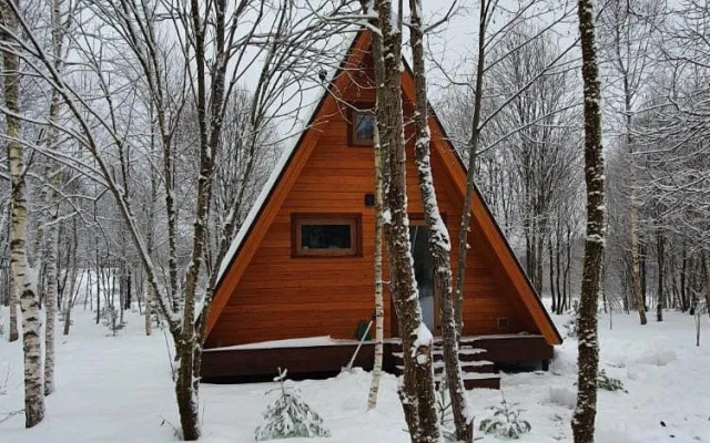 Частный дом на на берегу реки Руза