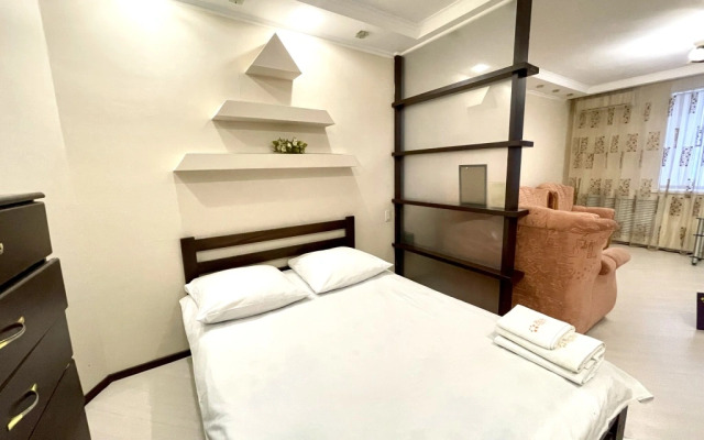 Апартаменты 642 Флэтс-Лайн на улице Красноармейская 100