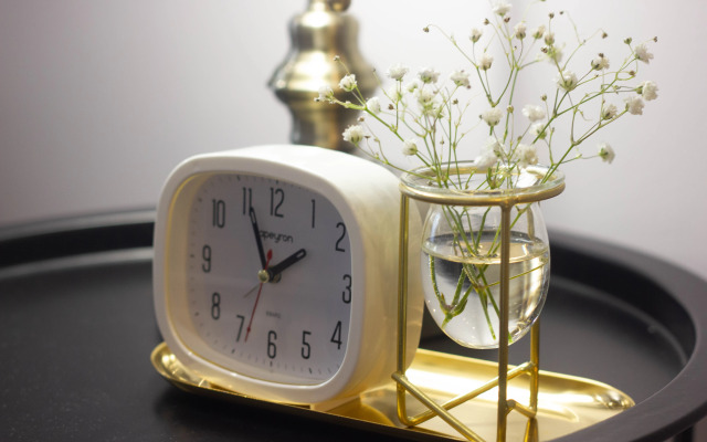 Апартаменты Еsenia Home - White Horce