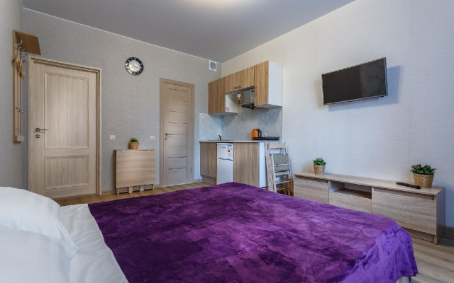 Svetlaya studiya Flat